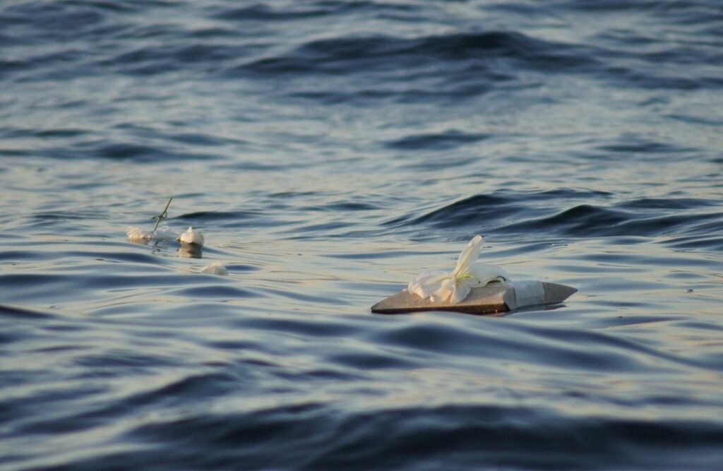 Seebestattung- Weigelt Bestattungen